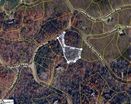 Residential Lot in Marietta, SC