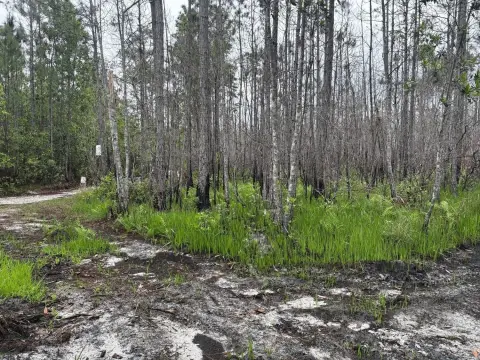 Recreational Land Near St. Cloud
