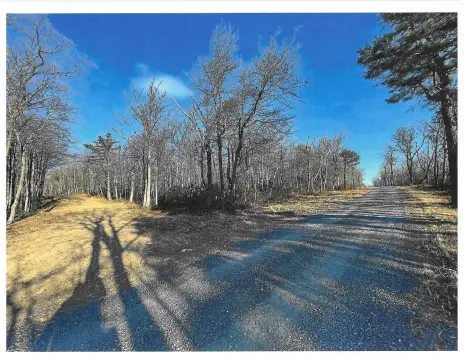 Level Corner Wooded Lot