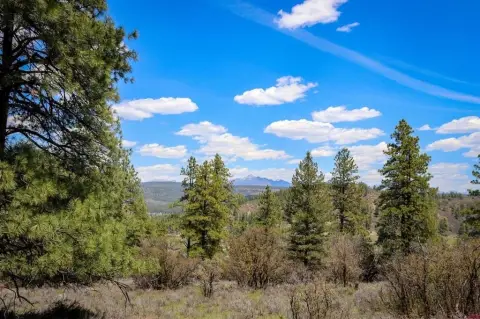 Pagosa Springs Land with Privacy