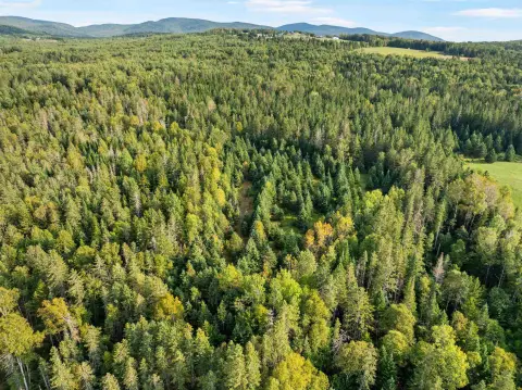 Wooded Rural Land