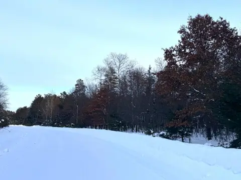 Wooded Lot in Quiet Neighborhood