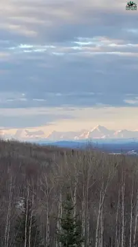 Land with Alaska Range View