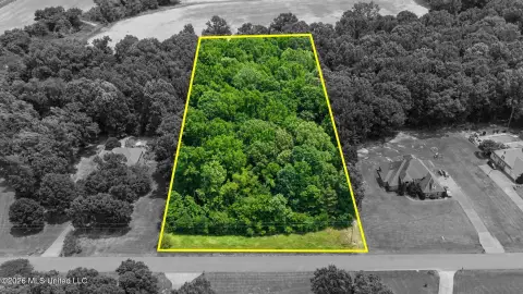 2.1 Acre Treed Lot