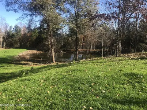 Land with Stocked Pond and Timber