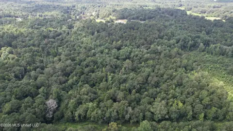 Mature Hardwood Timber Land