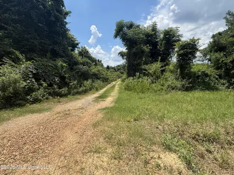 Recreational Hunting Tract