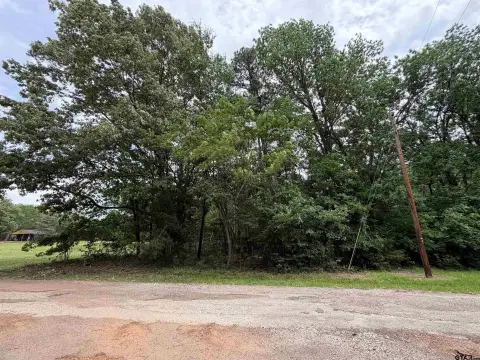 Community Lake Recreation Lot