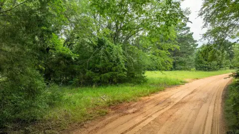Wooded Recreational Land