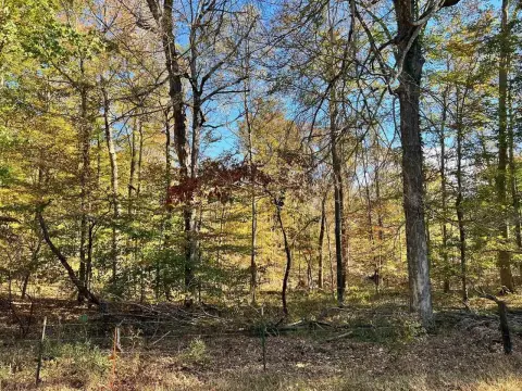 Scottsville, KY Acreage For Sale