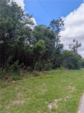 Residential Lot in Lehigh Acres