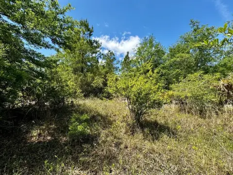 Secluded Acreage in Taylor County