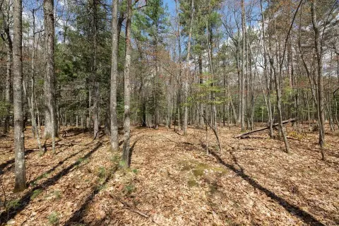 Eagle River Buildable Land