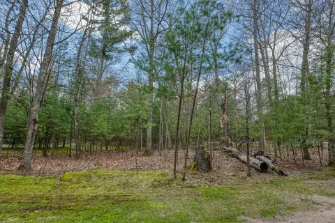 Eagle River Buildable Land