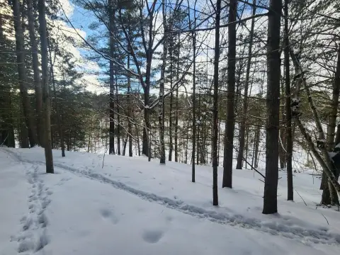 Hazelhurst Land Near Golf Course