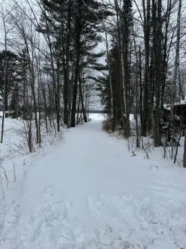 Wooded Lot Near Bishop Lake