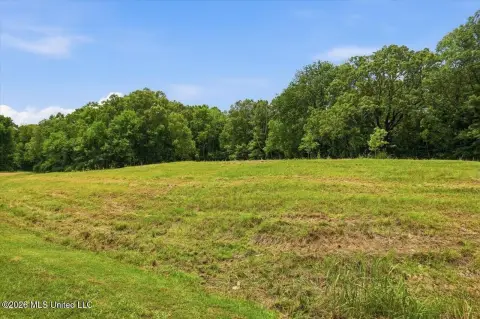 Residential Lot in Chestnut Hill