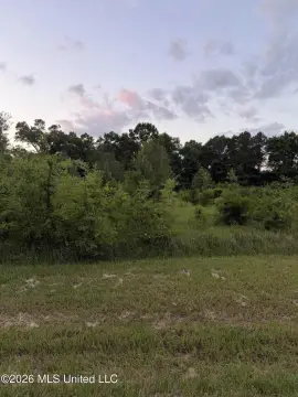 Saucier Land For Sale