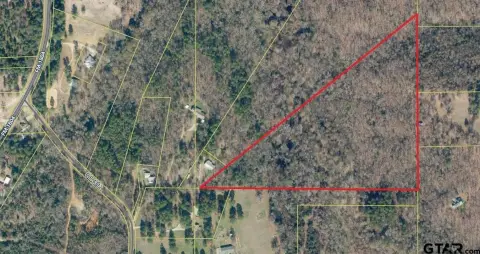Wooded Land Tract