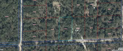 Vacant Lot in Levy County