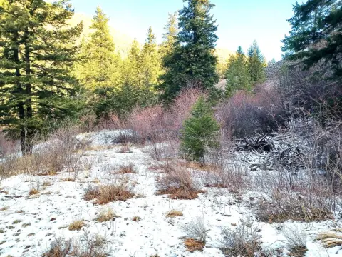 Wooded Land Parcel Near Waterville