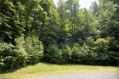 Mars Hill Wooded Land