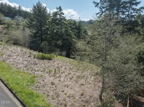 Ocean View Land in Newport