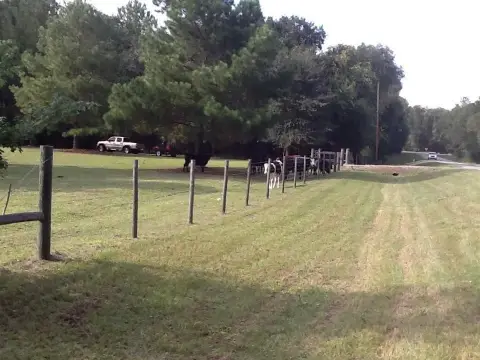 Land in Madison, Florida