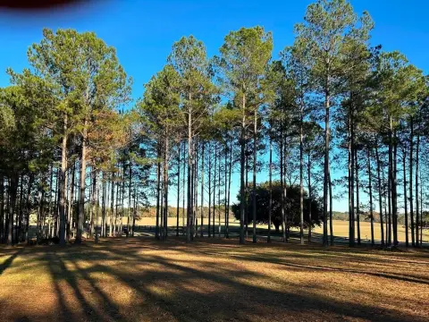 Vacant Land in Sumrall, MS