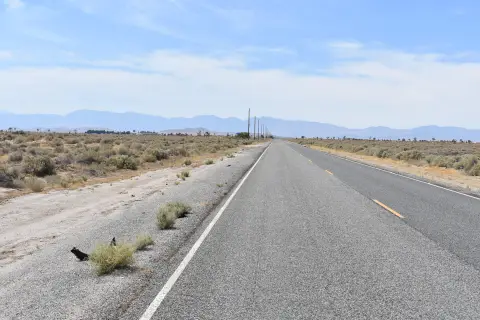 Lancaster Land with Paved Frontage
