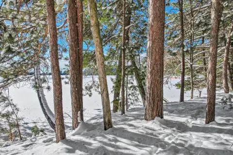 Waterfront Land on Laurel Lake