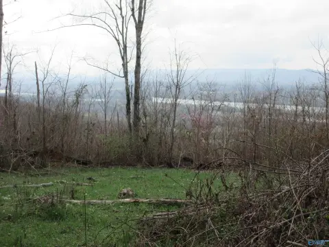Stevenson Wooded Acres with River Views