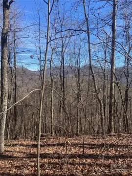 Hayesville Land with Mountain Views