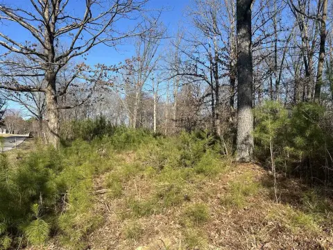 Wooded Lot Near I-65