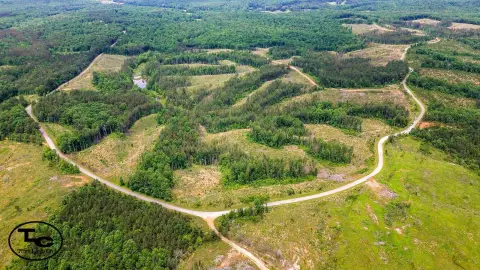 Henderson, TN Hunting & Timber Tract