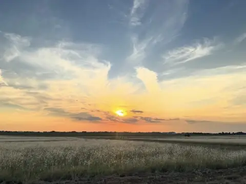 Residential Homesite in Liberty ISD
