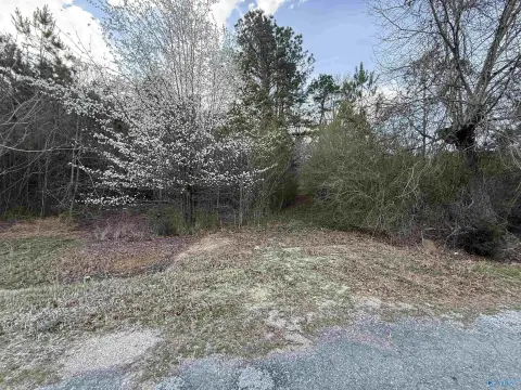 Attalla Wooded Land For Sale