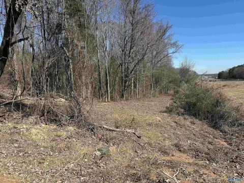 Decatur, AL Land Available