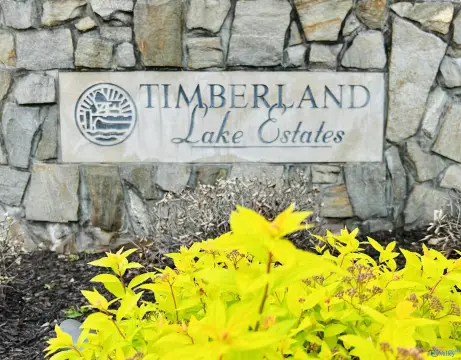 Estate Lot in Timberland Lake