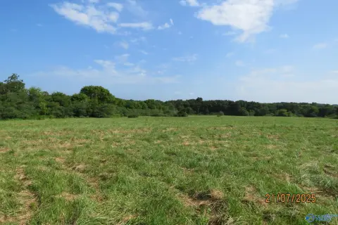 Agricultural Land Tract with Pasture
