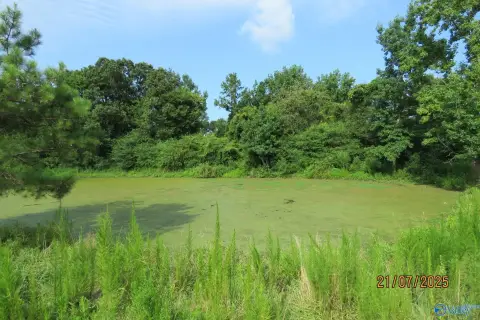 Agricultural Land Tract with Pasture