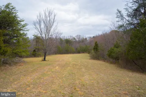 Spacious Land in Winchester, VA