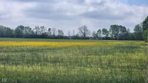 Whiteland Estate Property: 10 Acres