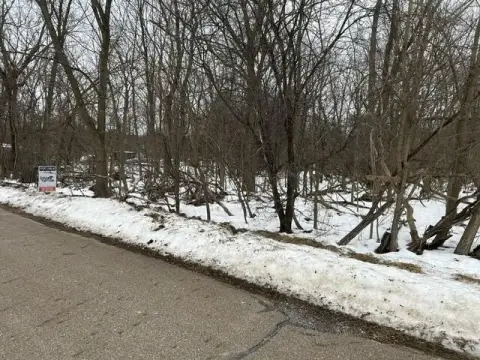 Wooded Lot in Springfield, MI
