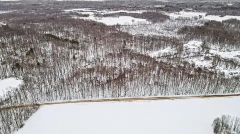 Allegan Wooded Retreat Land