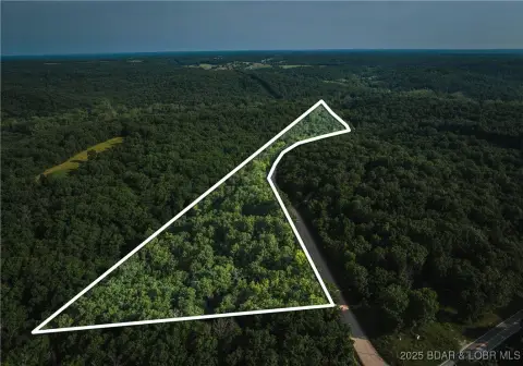 Ozark Timberland Near Lake