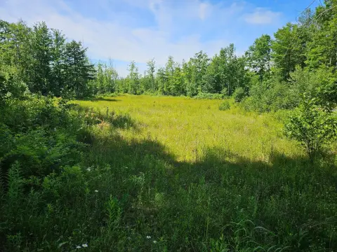 Hunting Land with Deeded Access