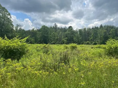 Ithaca Land Corner Lot