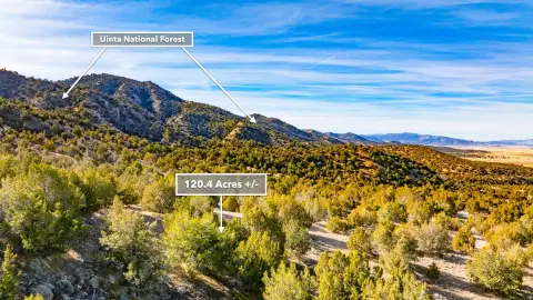 Agricultural Land with Mountain Views