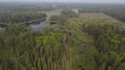 Land with Carter Creek